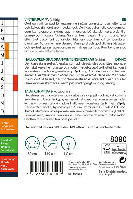 Halloweengræskar 'Connecticut Field'